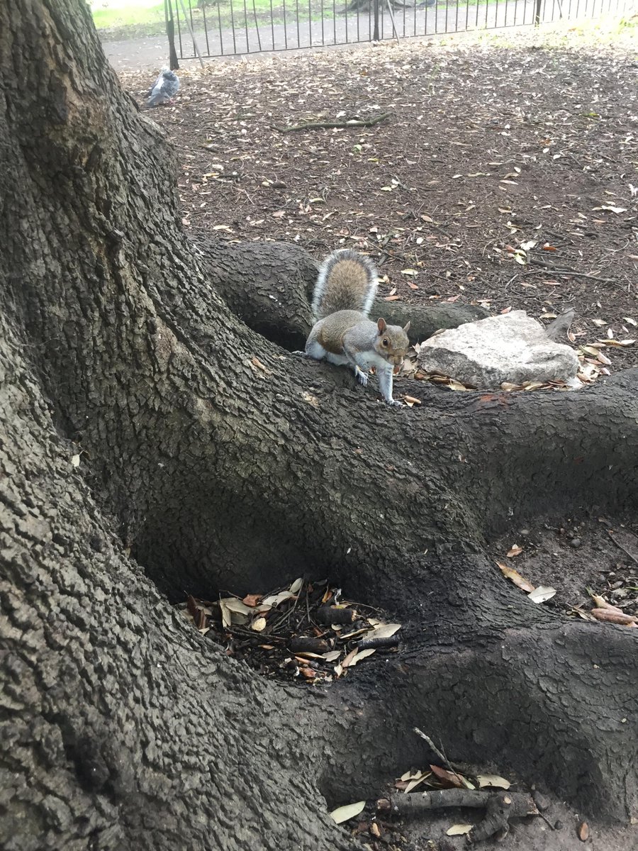 GreenwichHT's tweet photo. 🐦🌸🌳🦔Only a few days left to book your tickets for our Charlton House Explorers workshop on Wednesday 2nd June! Come and make your very own bird feeder and learn more about all the creatures we have in our collection and gardens. 🐦🌸🌳🦔
https://t.co/rE23ffTG3p https://t.co/Fa4pYF3BcE