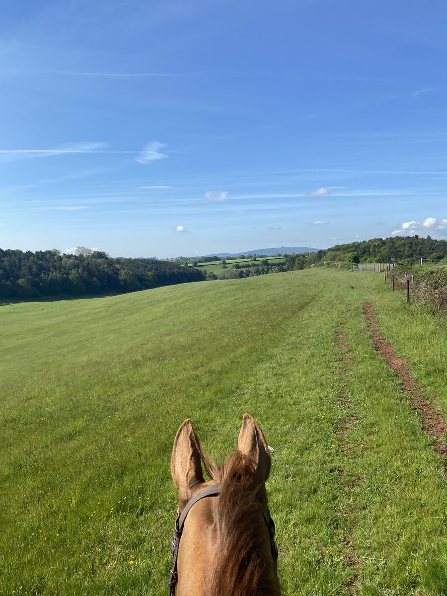 Morning’s like this make you very grateful #summertime #appreciatewhatyouhave