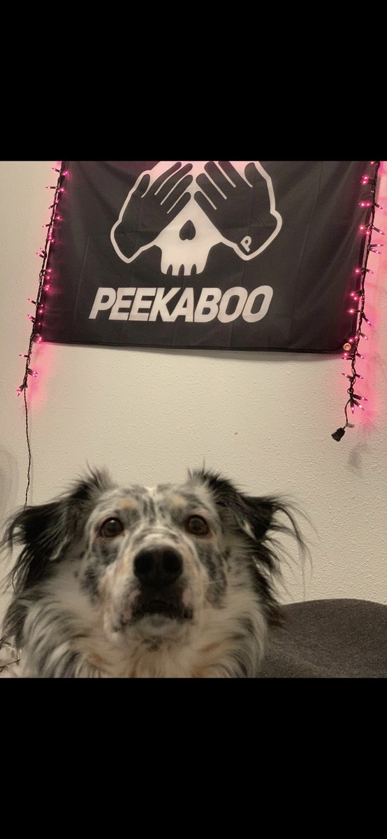 TimmyPeiks's tweet photo. @peekaboobeats https://t.co/K0ORaaLBwb