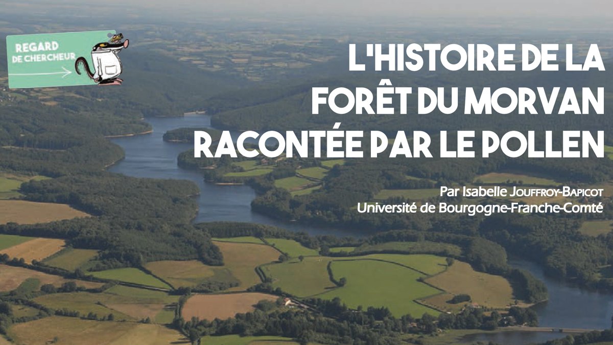 BFCNature's tweet photo. Savez-vous que les #pollens nous racontent des #histoires ? La #palynologue Isabelle Jouffroy-Bapicot reconstitue l'histoire de la #forêt 🌲du #Morvan en étudiant les pollens au microscope 🔬
Pour en savoir +👉https://t.co/tLyj8usZ95
@Chrono_env @fc_univ @ParcduMorvan #BFCNature https://t.co/rBbLbb8MAP