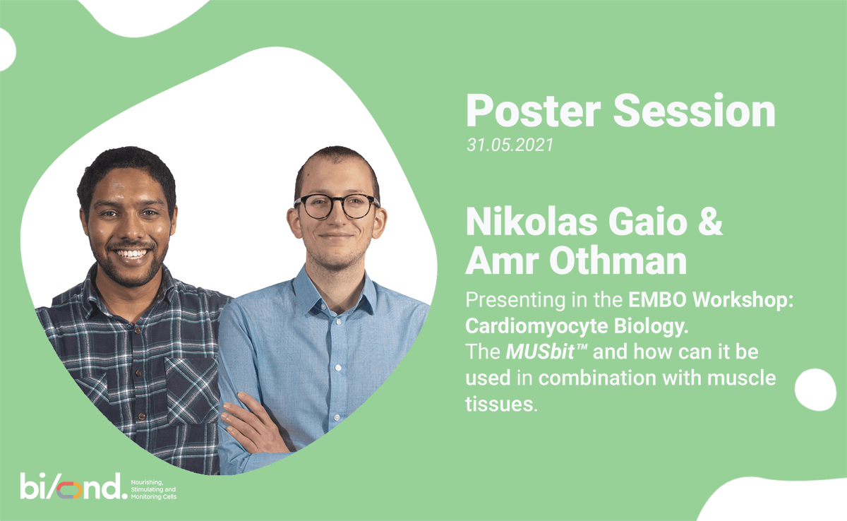 GOBIOND's tweet photo. Next Monday 31, @NikoGaio &amp; @amrothmann, will participate in a poster session on the EMBO Workshop: Cardiomyocyte Biology.

They will present the MUSbit™, and how it can be used in combination with muscle tissues.
https://t.co/zBpx0adPS8

MUSbit™  info: https://t.co/i6jHv957gN https://t.co/kL0OEBzfeE