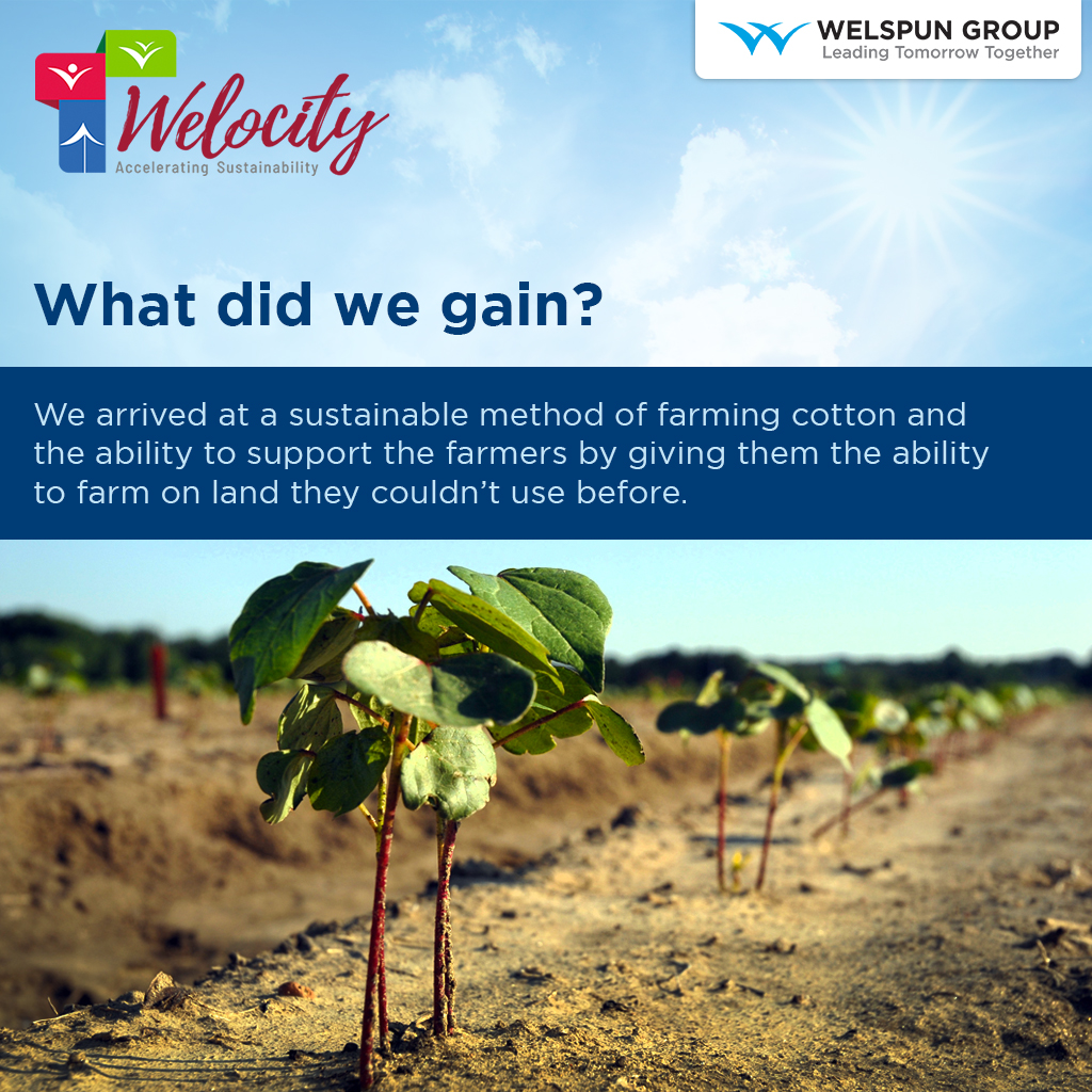 WelspunWorld's tweet photo. ...how science and farming can work in tandem to create solutions for natural barriers. Now, farmers possess the ability to farm land which was previously considered unfertile, thanks to the #ESGWaveOfChange.
#AcceleratingESG #SustainableCotton https://t.co/EVid2CIeBN