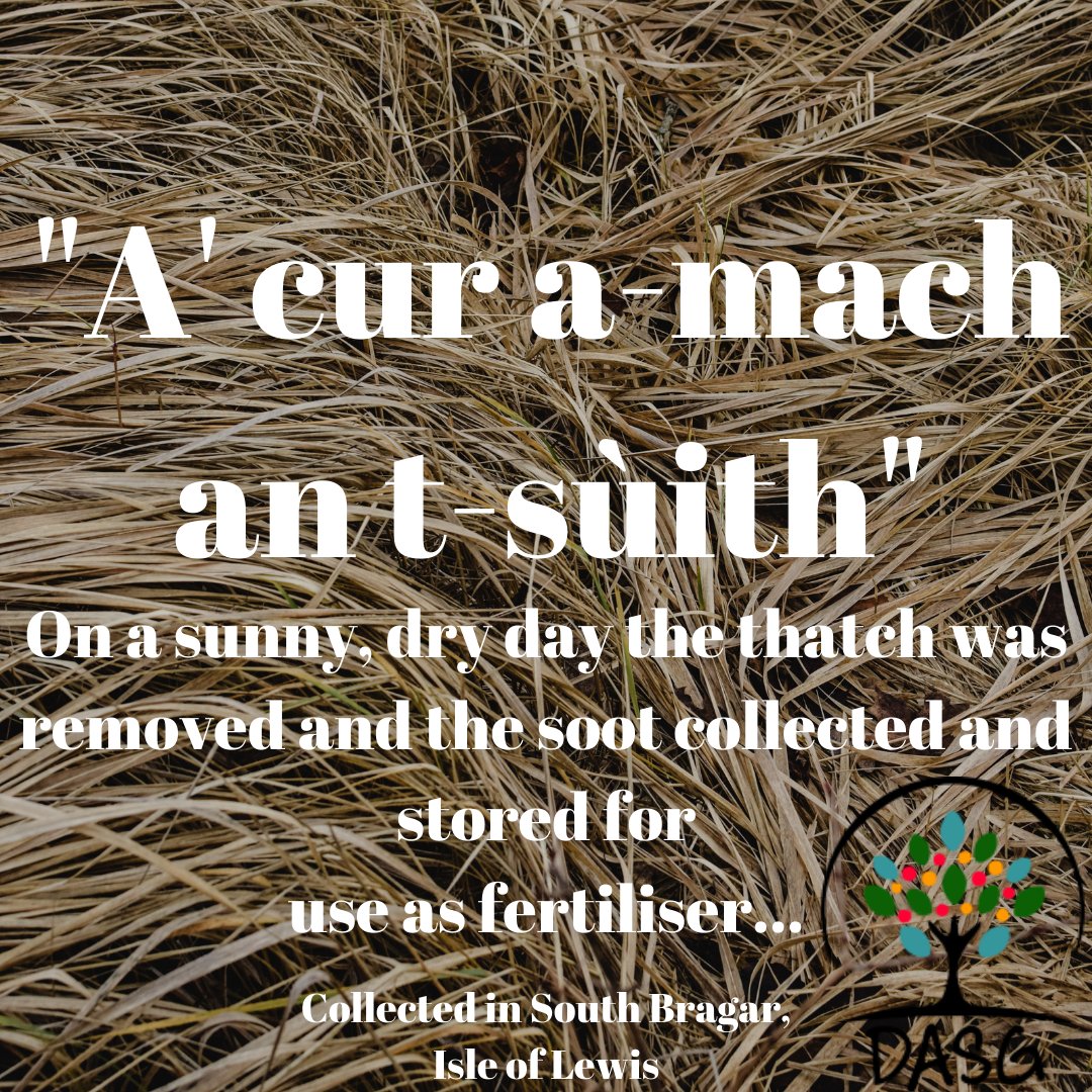 DASG_Glaschu's tweet photo. https://t.co/u4t42ma3nu
💨
A' CUR A-MACH AN T-SÙITH - "On a sunny, dry day the thatch was removed and the soot collected and stored for use as fertiliser or it may have been taken straight to the croft..."
🌱
#tugh #thatch #soot
🔥
#Leòdhas #IsleofLewis
#Gàidhlig #Gaelic #DASG https://t.co/xMVu2y0J1F