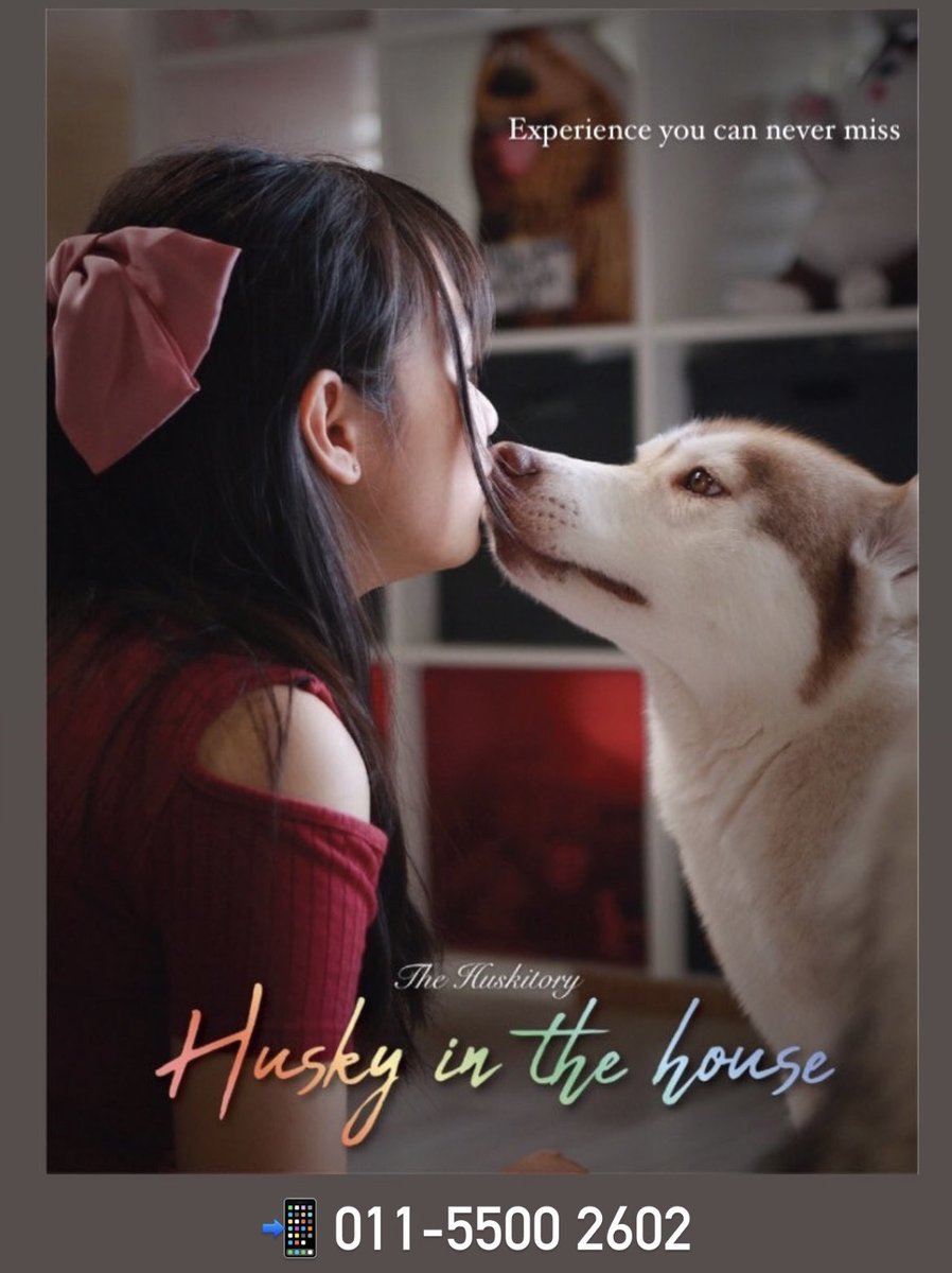 THuskitory's tweet photo. ❤️HUSKY IN THE HOUSE❤️
Ever wonder family life with a Siberian Husky? Now you can bring these champions home to enjoy memorable family moments! 

✅Healthy Family Activity
✅Educational Program
✅Safe
✅Stress Therapy 
✅Reduce Abandon Rate
✅Total Hassle-Free
#husky #happiness https://t.co/YTBtj28M91