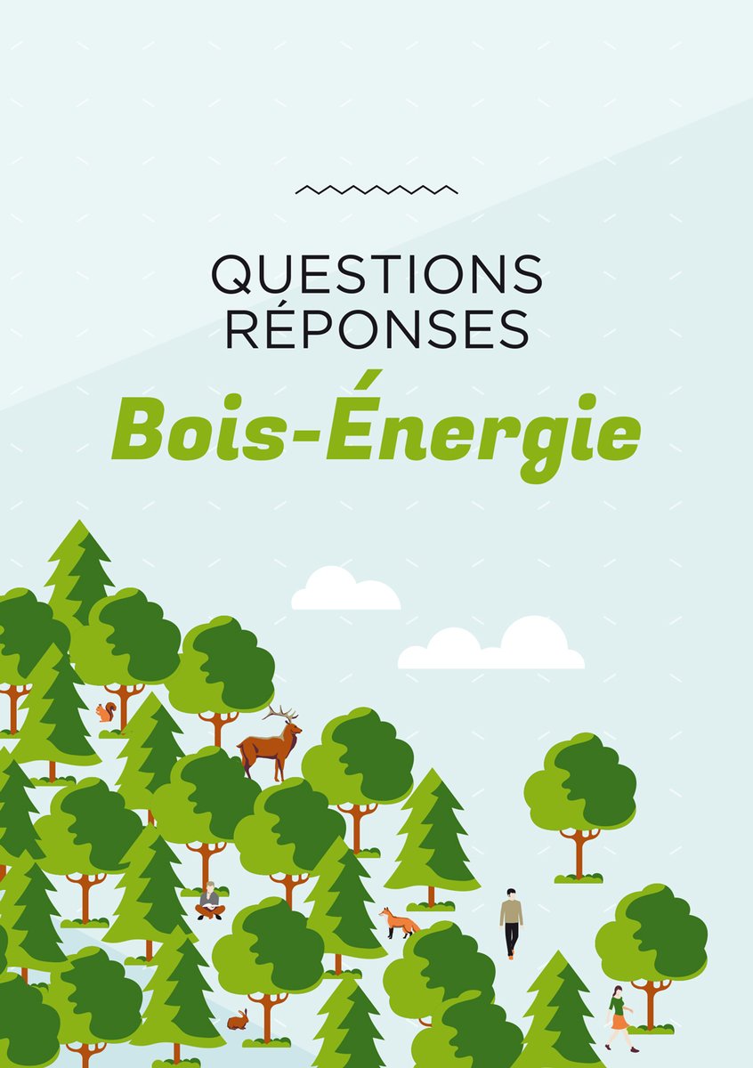 [PUBLICATION] Le @ser_enr et <a href="/franceboisforet/">France Bois Forêt</a> ont publié une mise à jour du "Questions-Réponses bois-énergie", qui donne les infos et les données les + récentes pour tout savoir sur la 1ère #EnR de France, clé de la lutte contre le #ChangementClimatique.
👉bit.ly/3vtzZg1