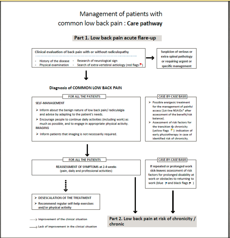 Clinical guidelines and care pathway for management of low back pain ...