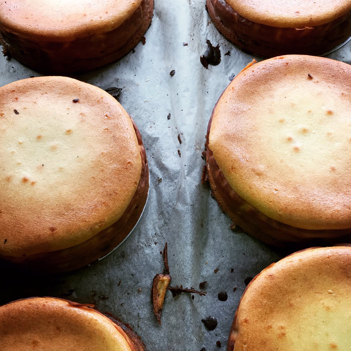 German cheese cakes ready for the weekend. 

Available every day at our warehouse shop Unit 11, Forest Trading Estate, Priestley Way E17 6AL between 11am and 3pm 

#artisanfoods #artisanfoodsbread #artisanfoodsourdough #sourdough #sourdoughbread #handmade #handmadesourdough