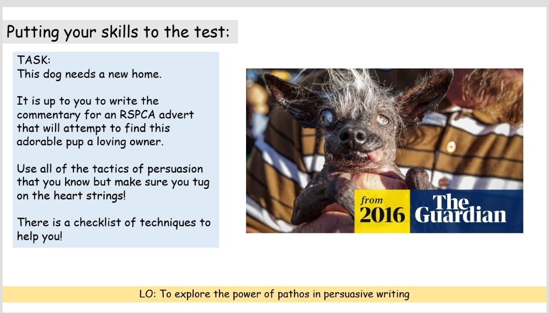 The persuasive writing that came from this task did not disappoint!