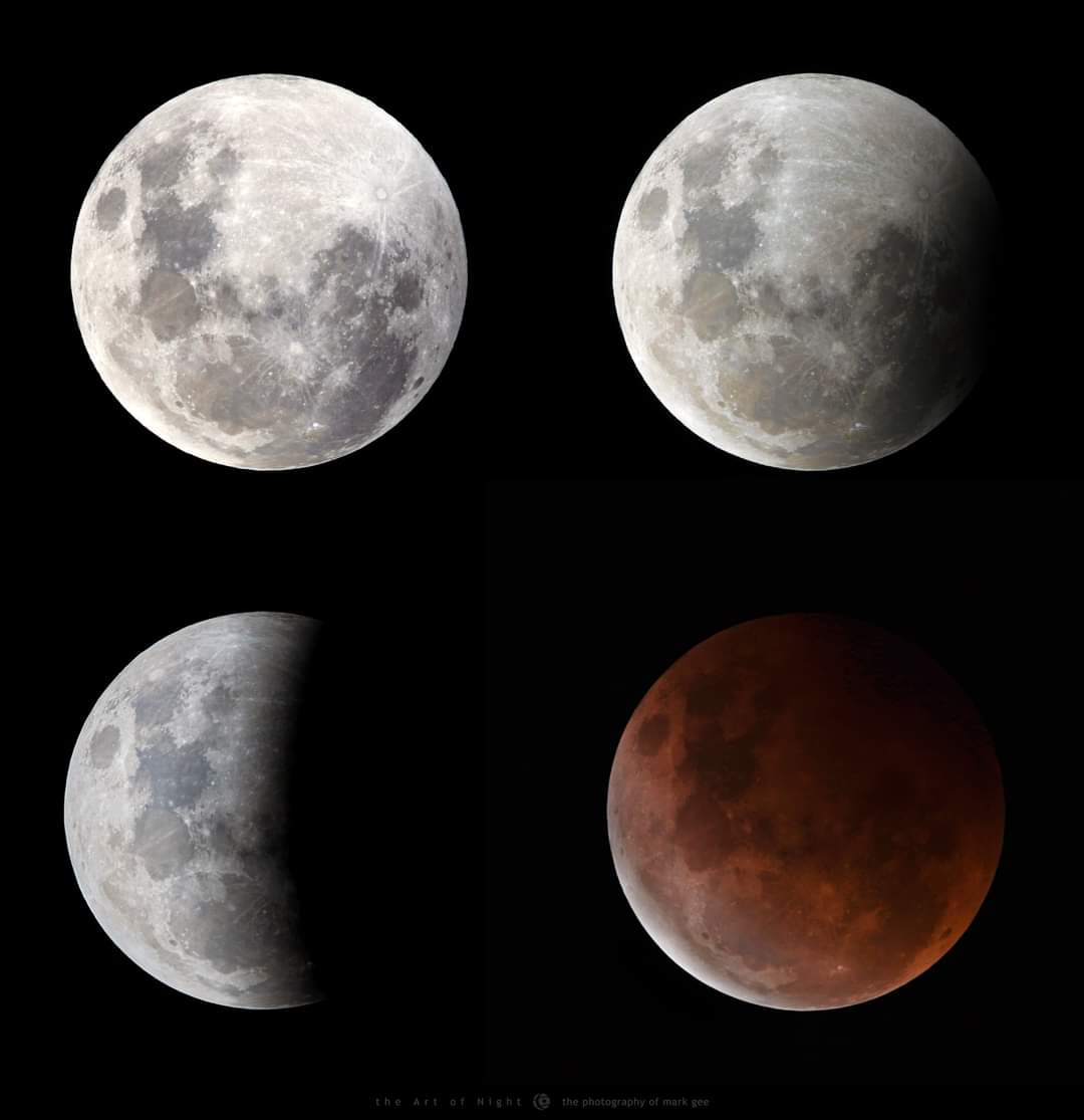 EnakshiiB's tweet photo. Well we were treated to an amazing Supermoon Lunar Eclipse here in Wellington, New Zealand. 

The Art of Night - The Photography of Mark Gee

#supermoon #supermooneclipse #lunareclipse #theartofnight https://t.co/DIjSwEPXc6