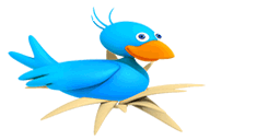 BackPapatka's tweet photo. remember this bird? this is him now
Feel old yet? https://t.co/iTnOqtU7iw