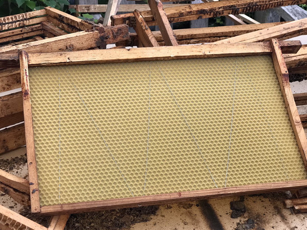 It’s been a hectic few weeks. We have been regularly checking the bees, jarring honey, preparing orders and claeaning, repairing equipment. Hopefully warmer weather is here for a time - the bees are longing to get out to forage 🐝🌸🐝🌺🐝🌼 #honeybees #saveourbees #apiarist