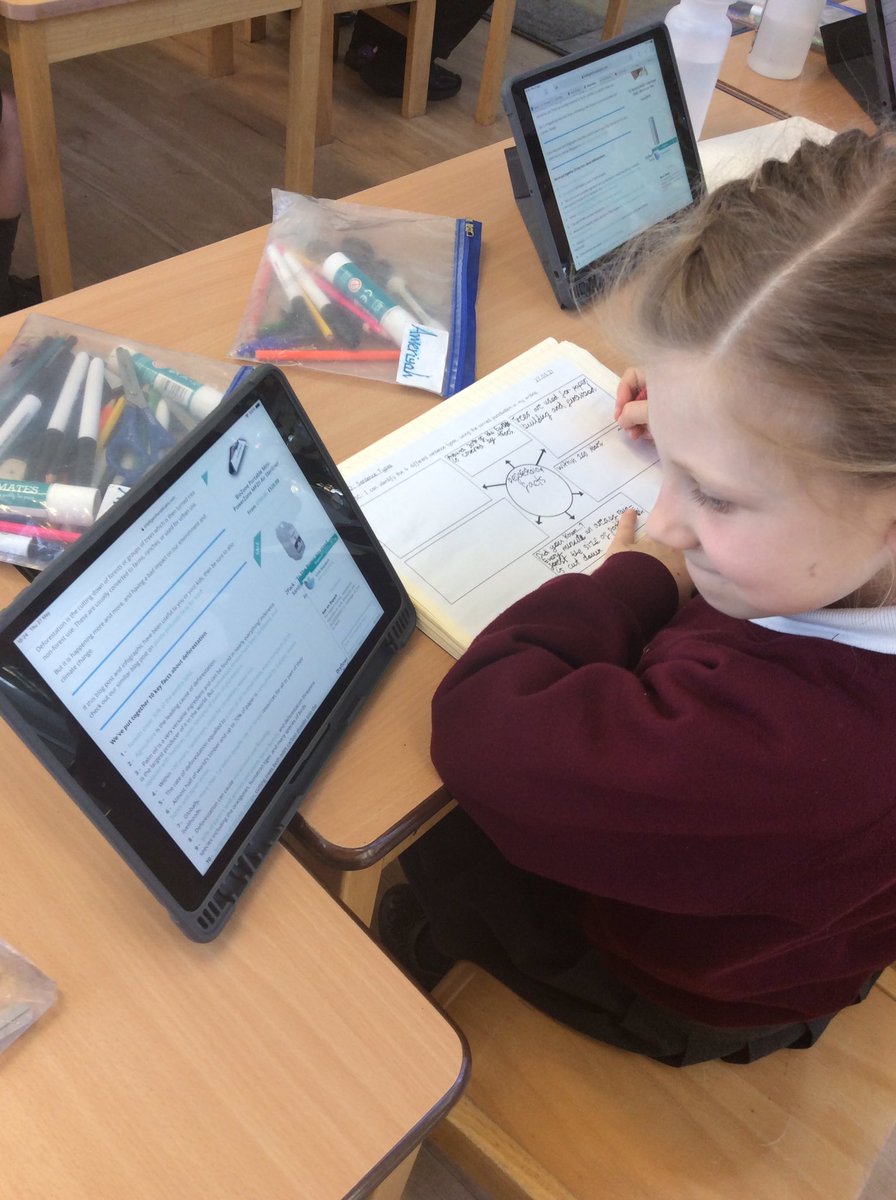St_JamesYear2's tweet photo. Using technology to research facts about deforestation 🌳 https://t.co/cSBgTILT72