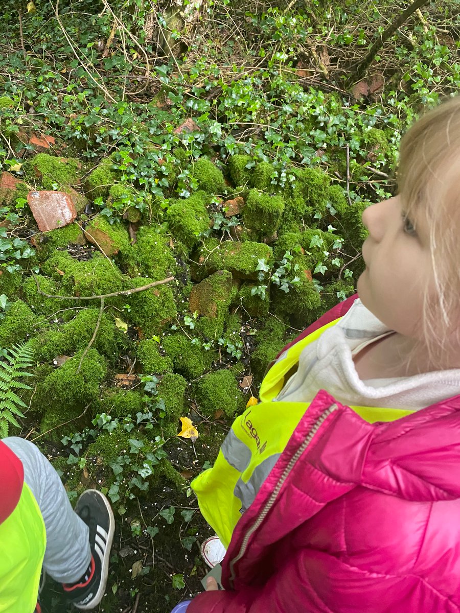 miss_whiteman's tweet photo. Year 3 are having a lovely time exploring micro habitats! https://t.co/Qeo5En2bJu