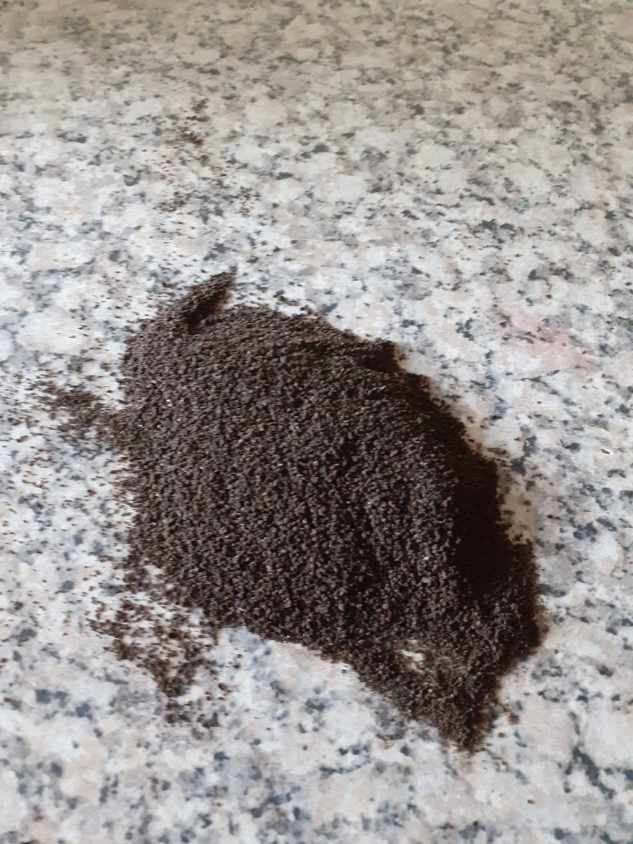 Pauline Killion tweet media