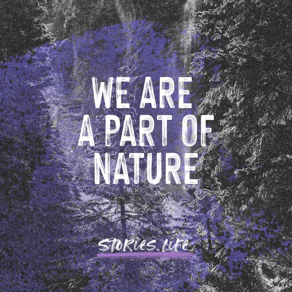 storiesforlife_'s tweet image. We're searching for stories, ideas, projects &amp;amp; people showing us that #nature is our family.

These 'love stories' help evolve the harmful narrative of separation &amp;amp; weave a healthy narrative of interconnection.

Spot &amp;amp; share them online using hashtags #lovestory #storiesforlife