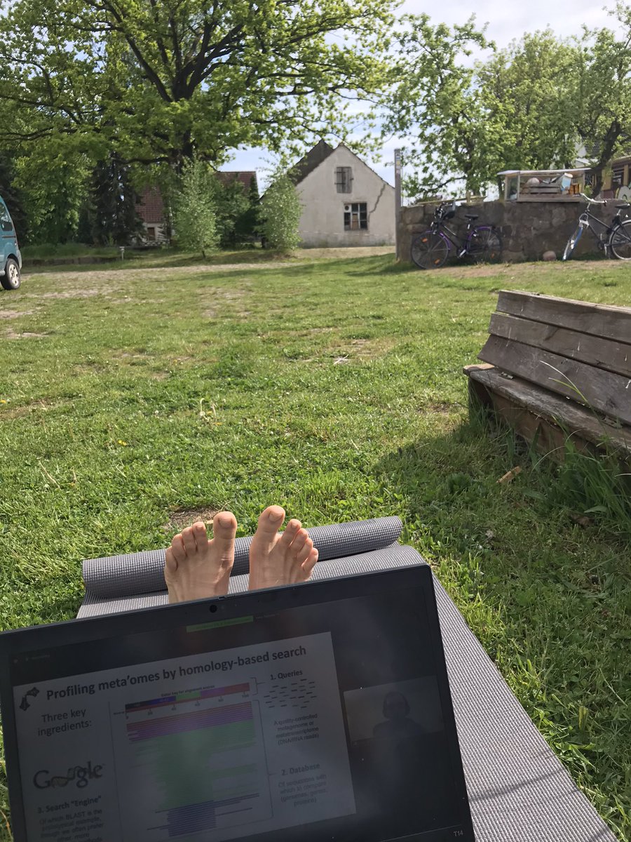 jmaclean0's tweet image. Another day working remotely in Brandenburg @workationRe and #Metaomics course @Physacourses. But.... 7h work = 7h work. Even with your toes in the grass 🧠💻🦶🏽