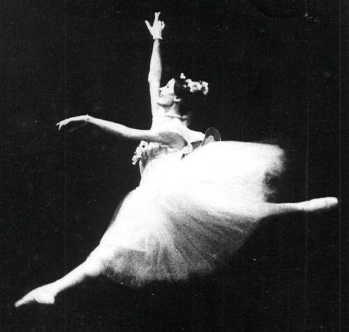 blanchsclaimer's tweet photo. “La danza è una carriera misteriosa, che rappresenta un mondo imprevedibile ed imprendibile. Le qualità necessarie sono tante. Non basta soltanto il talento, è necessario affiancare alla grande vocazione, la tenacia, la determinazione, la disciplina, la costanza.”

buon viaggio💔 https://t.co/IHRW1XY43n