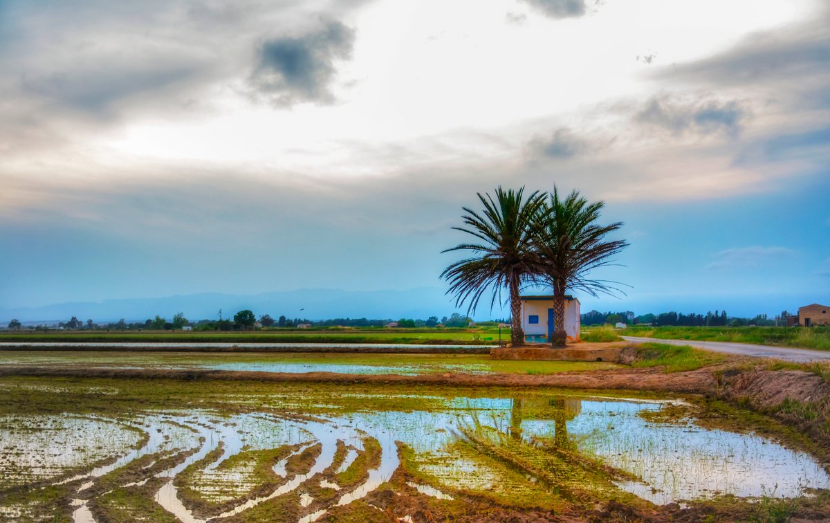 Esas casetes guarneixen el Delta omplin-lo de color 
L❤VE DELTA
<a href="/TurismeLaRapita/">Turisme la Ràpita</a> 
@eltempsTV3 #eltempstv3
<a href="/javioru/">Javi Martinez</a> <a href="/ARAmeteo/">ARA Méteo</a> <a href="/tiempobrasero/">Tutiempo</a>
<a href="/aquilatierratve/">Aquí la Tierra</a> 
<a href="/TiempoEnEspana/">El Tiempo en España</a>
<a href="/ElTiempoA3/">El Tiempo de Antena 3</a> @canal21ebre
<a href="/SoniaPapell/">Sònia Papell Caimons</a>  
<a href="/eltiempoGCM/">El Tiempo GCM</a> <a href="/el_tiempohoy/">El Tiempo Hoy</a> 
<a href="/apuntoratge/">À Punt Oratge</a> 
<a href="/jjanue/">Jofre Janué @jjanue.bsky.social</a>
<a href="/enricagud/">enric agud 🌕</a>