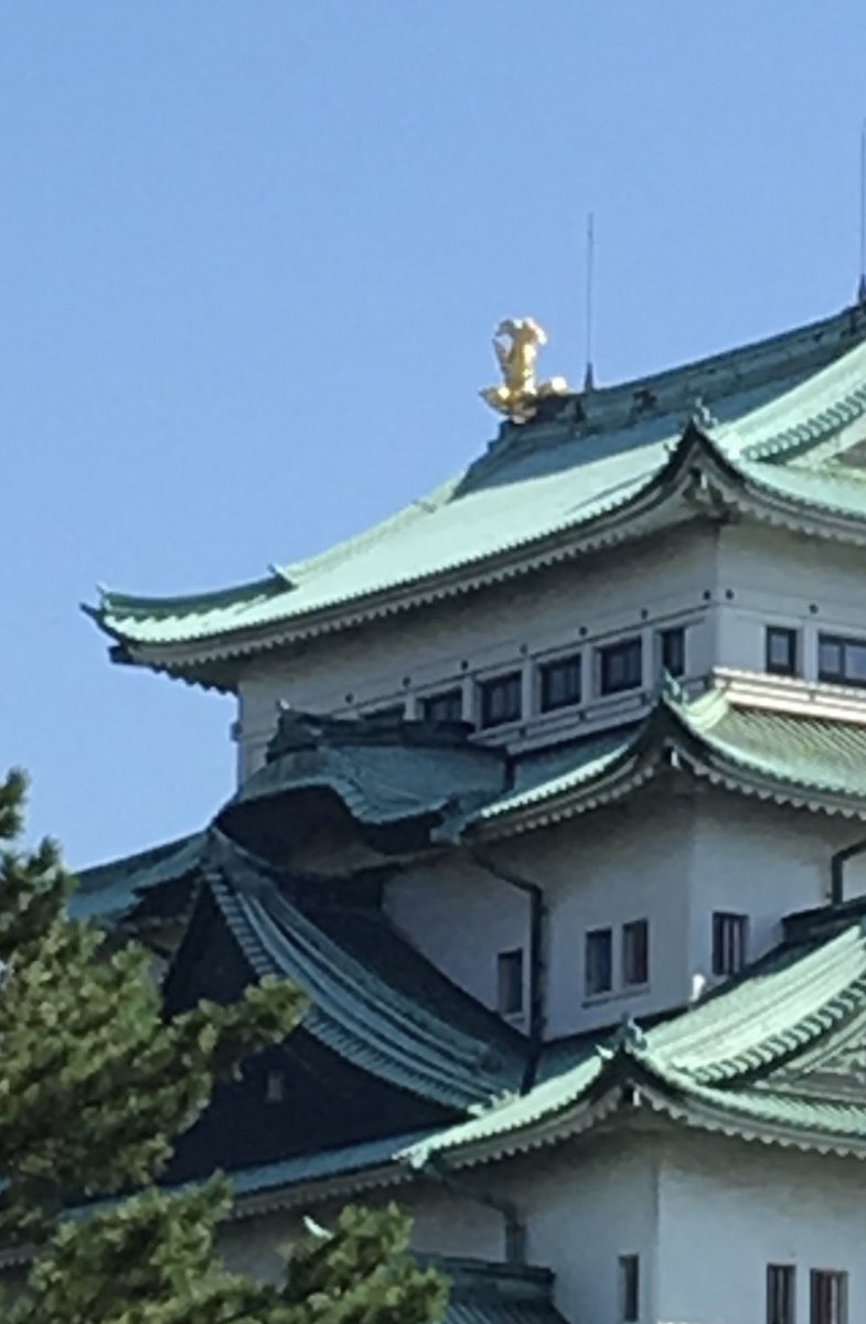 女子大 manaba 神戸 神戸 女子大