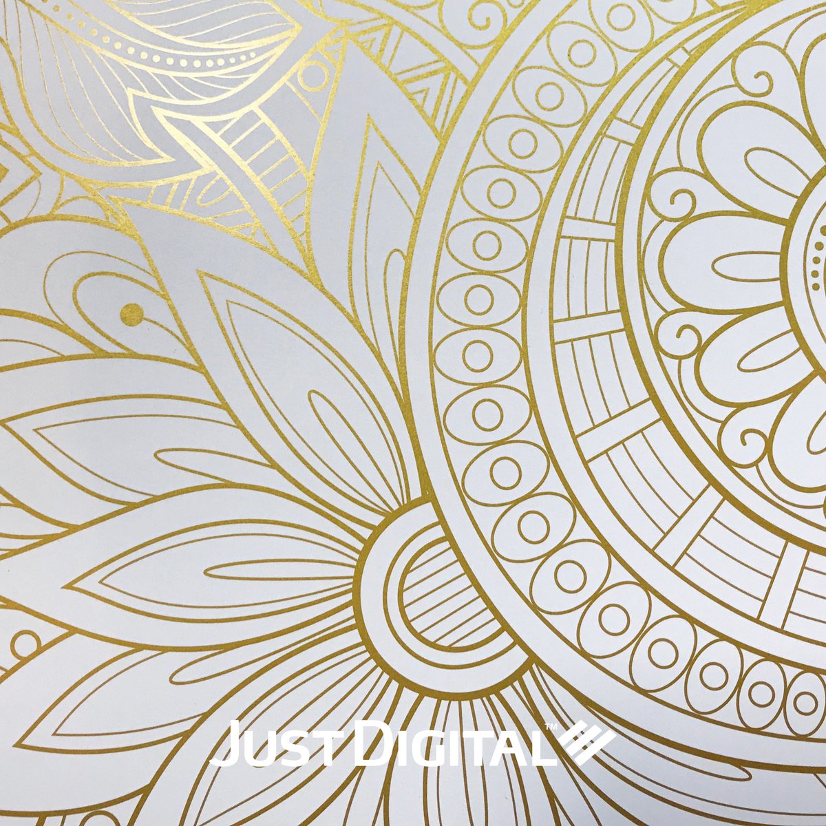 Investing in the latest technology has enabled us to offer stunning effects and added value to your literature with cost-effective metallic colours on variable and short run print.

Call us today for more information on our products and services 01480 825 000