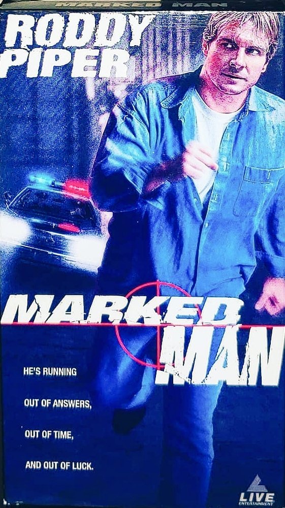 I 💓 B Movies tweet media