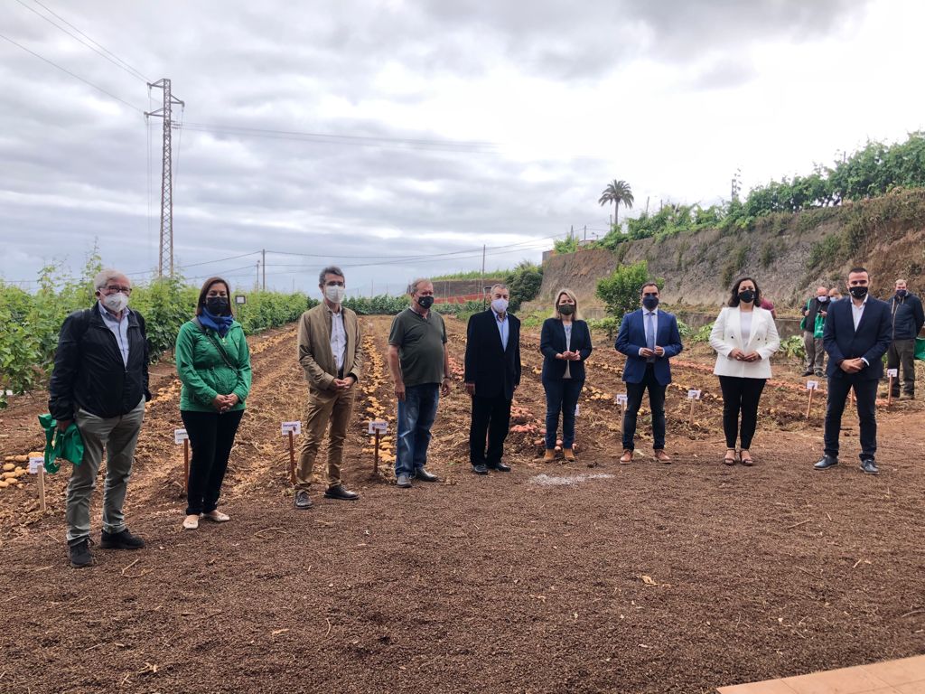 ¡Arranca #Papatour2021!  👏

El evento cuenta con la presencia de parte del consejo de <a href="/GFedola/">Grupo Fedola</a>, liderado por su presidenta, Victoria López; la consejera de <a href="/AGRI_Gobcan/">Agricultura Gobcan</a>, Alicia Vanoostende; el alcalde de #Tacoronte; José Daniel Díaz; y el equipo de <a href="/PapasFedola/">Papas Fedola</a>.