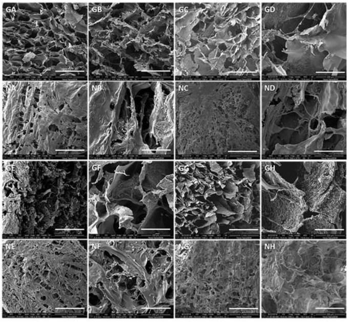 CancerNemi's tweet photo. The Effects of Crosslinking on the Rheology and Cellular Behavior of Polymer-Based 3D-Multilayered Scaffolds for Restoring Articular Cartilage

Yaima Campos et al.

|Polymers|

https://t.co/A8BGJNv6Jd

#H2020 #MSCA #cancerproject https://t.co/jUjlKDbqAF