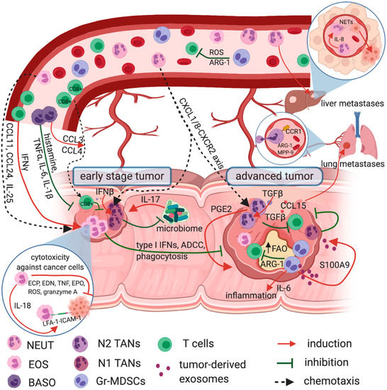 CancerNemi's tweet photo. Granulocytes and Cells of Granulocyte Origin—The Relevant Players in Colorectal Cancer

Izabela Siemińska et al.

|International Journal of Molecular Sciences|

https://t.co/hQWa0vXdZe

#H2020 #MSCA #cancerproject https://t.co/L5FeRV69Gn