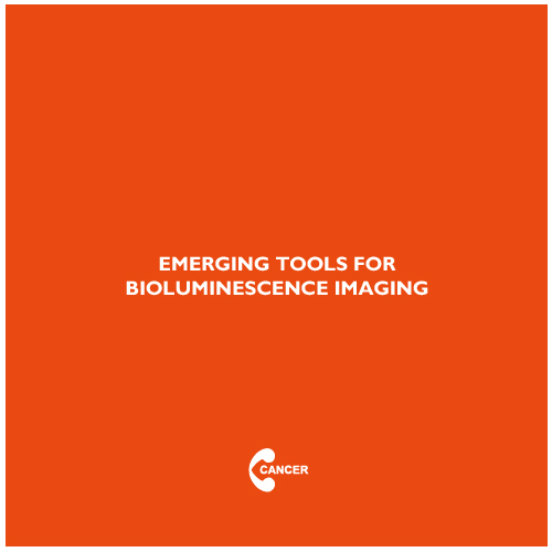 CancerNemi's tweet photo. Emerging tools for bioluminescence imaging

Giorgia Zambito, Chintan Chawda, Laura Mezzanotte

|Current Opinion in Chemical Biology|

https://t.co/GzeLqeIBDj

#H2020 #MSCA #cancerproject https://t.co/Rrl9Zowe1X