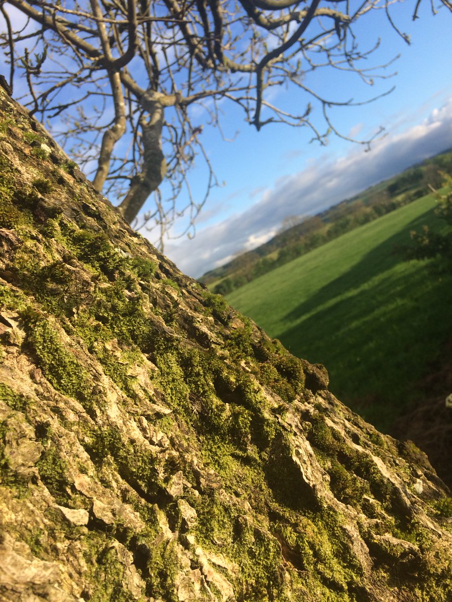 North Yorkshire Time to Change tweet media