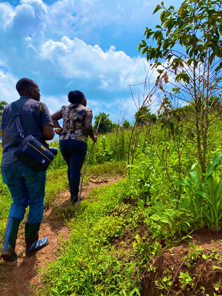 kyobesarah's tweet photo. Why import apples from S. Africa when we have them here in Mbale. 
Thanks Mbale for being nice 2 me &amp; my colleagues, l can confirm that  nice juicy apples come from Mbale in Mawa village,Budwale sub county , Bungokho county. However, the hills didn’t leave me the same.@naads_ug https://t.co/9oZmABrEHw