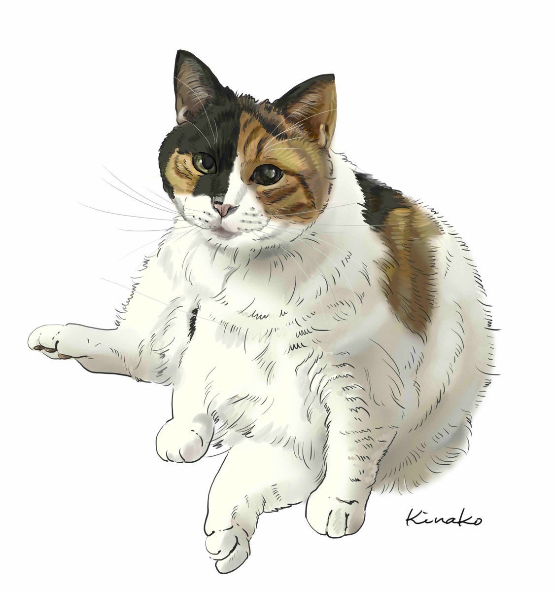 きなこ 猫の絵を描いています 91rudo Twitter きなこ 猫の絵を描いています 91rudo Twitter