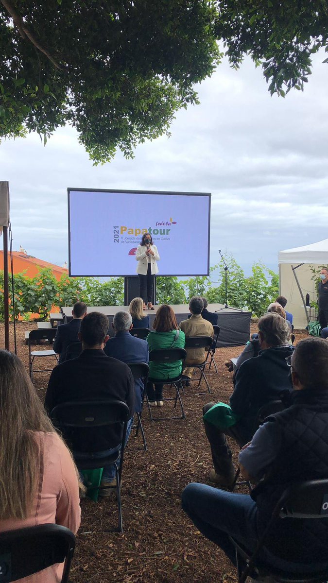 Victoria López, presidenta de <a href="/GFedola/">Grupo Fedola</a>, presenta la quinta edición de #Papatour2021, que se consolida como la muestra de ensayos de cultivos de papas del país más importante de #Canarias organizada por una empresa privada.