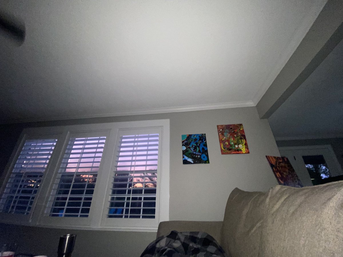 rushedantics tweet media