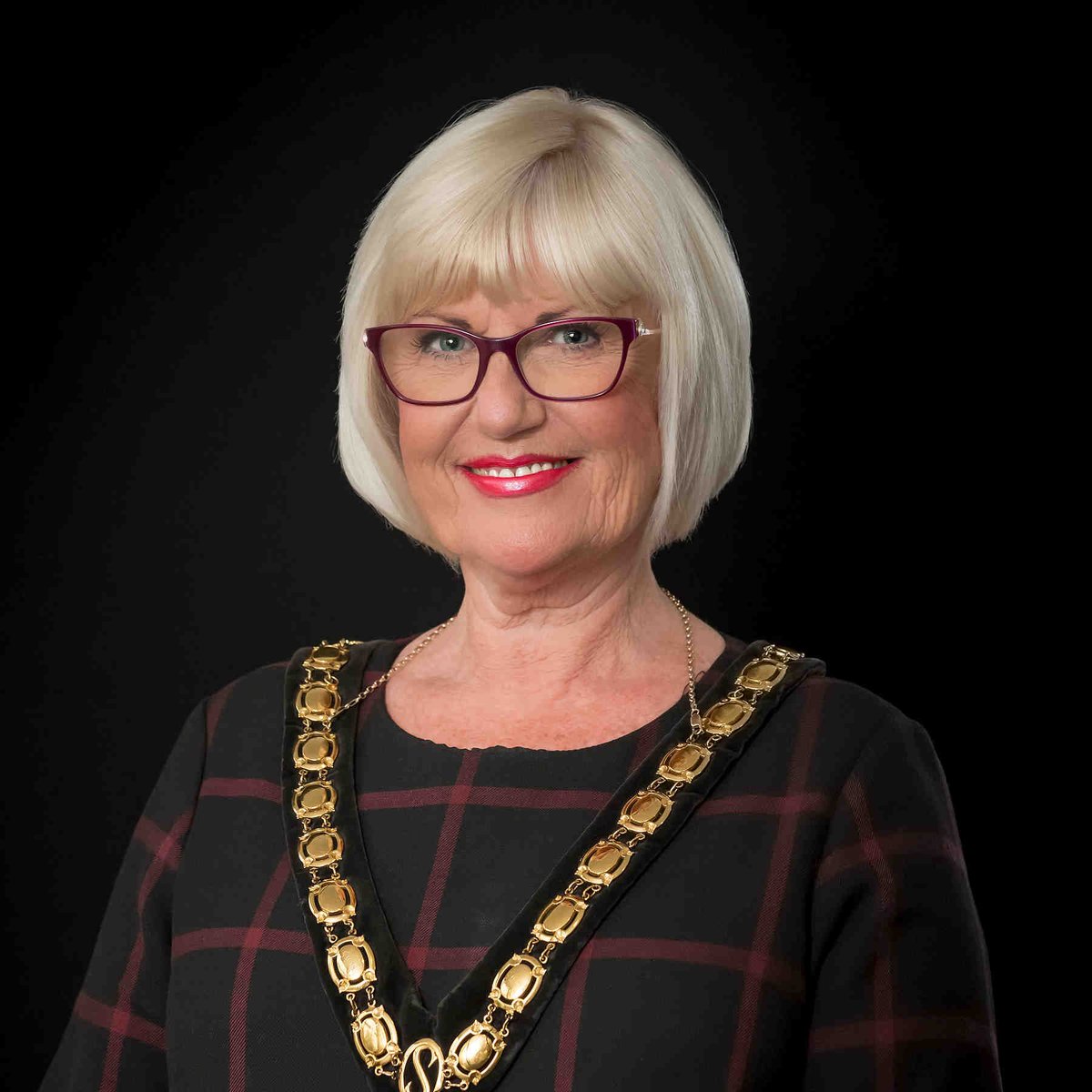 Stevenage Mayor tweet media