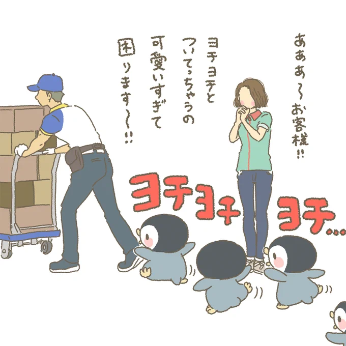 着いて行きたくなる気持ち分かりますー♥                              
#もちもち #お客様困ります #ヨチヨチ #ペンギン 