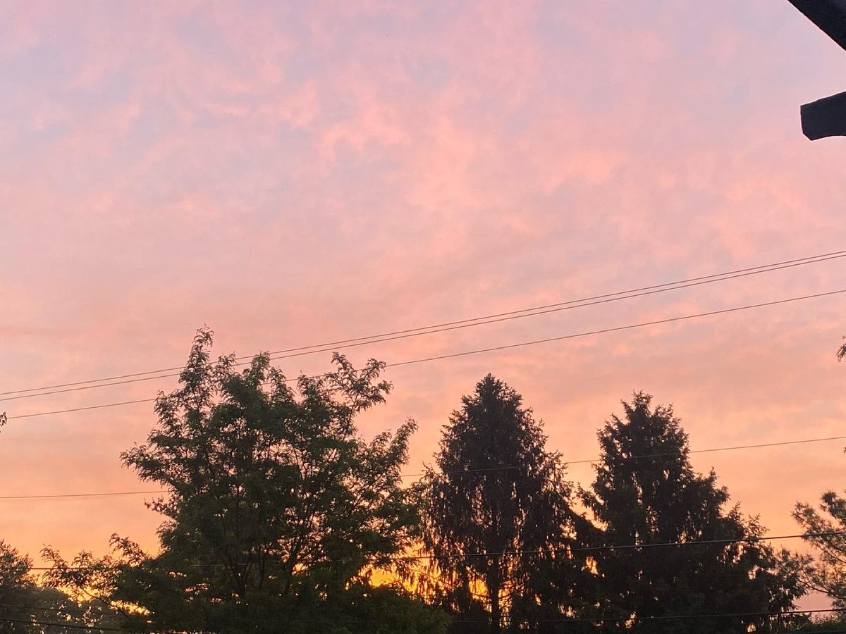 rushedantics tweet media