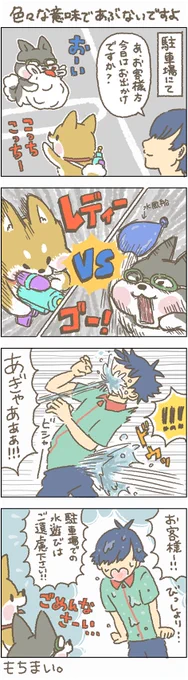 ちょっとーー!  
こらーー!!
もぉー!!!                           
#もちもち #お客様困ります #水風船 #水鉄砲 #しばいぬ 