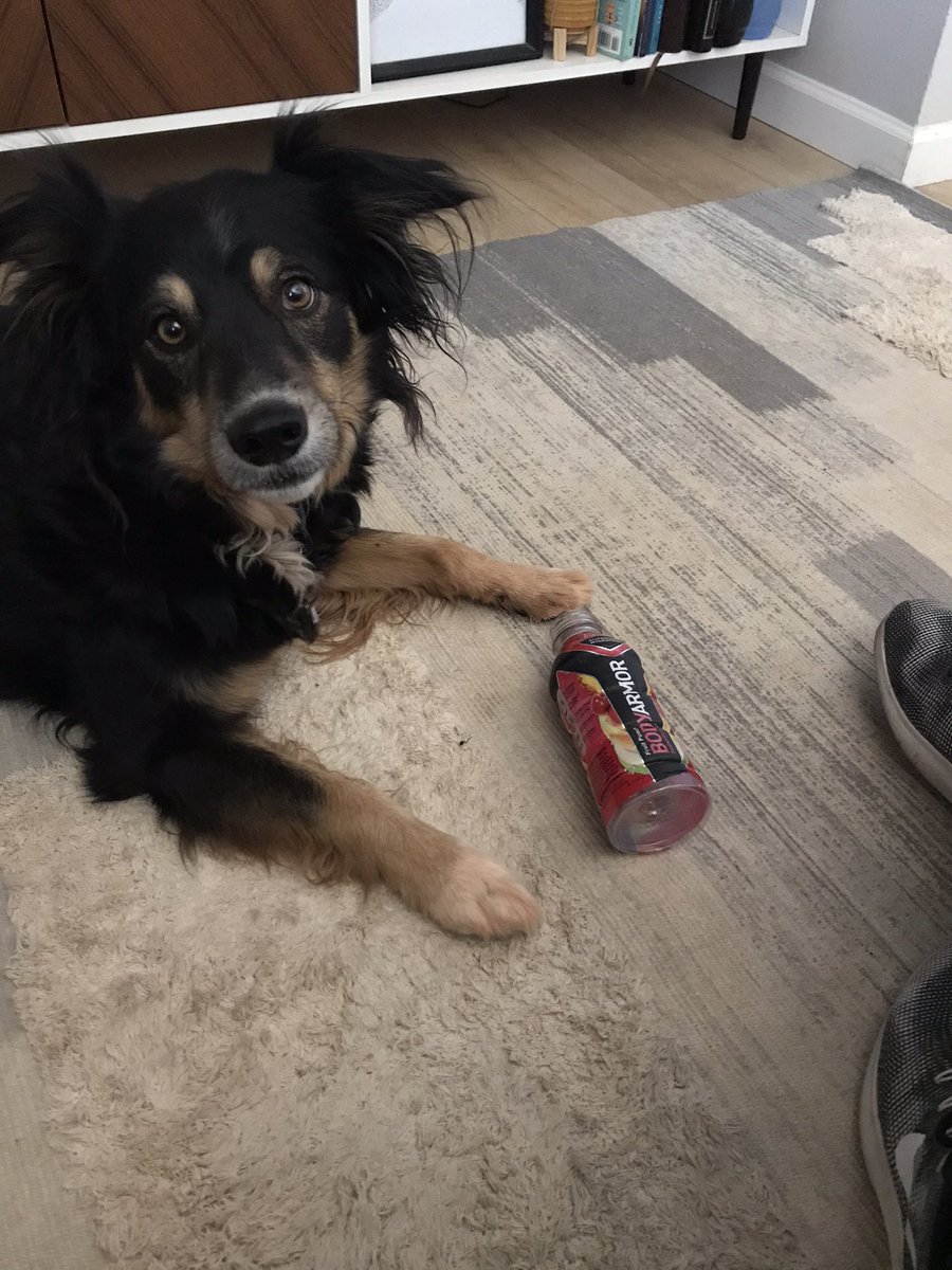 jfranz10's tweet photo. Training up a new @DrinkBODYARMOR athlete https://t.co/ZJbJoVFeix