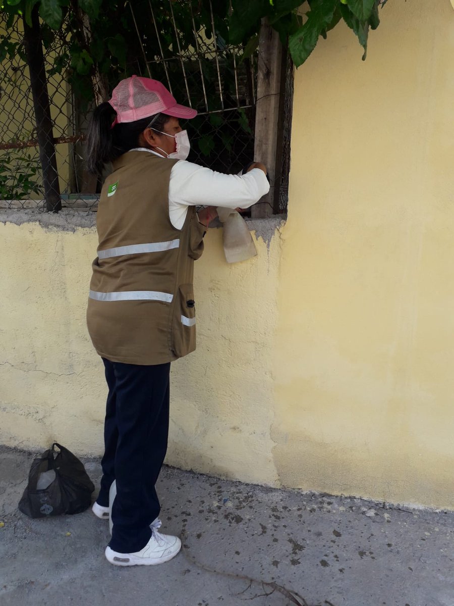 JS04COAH's tweet photo. Acciones de vigilancia entomologica con Ovitrampas "Tu Salud este en tus manos, Participa"!! Lectura de ovitrampas en la colonia 1 de Mayo, Monclova @CoahuilaSS https://t.co/EI5w8dZNyV