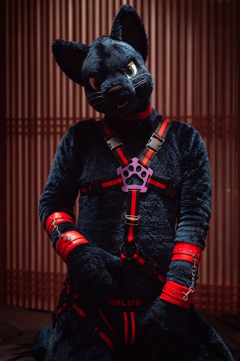 austin35623103's tweet photo. #FursuitFriday

Meow~💕 https://t.co/662o85OIP3