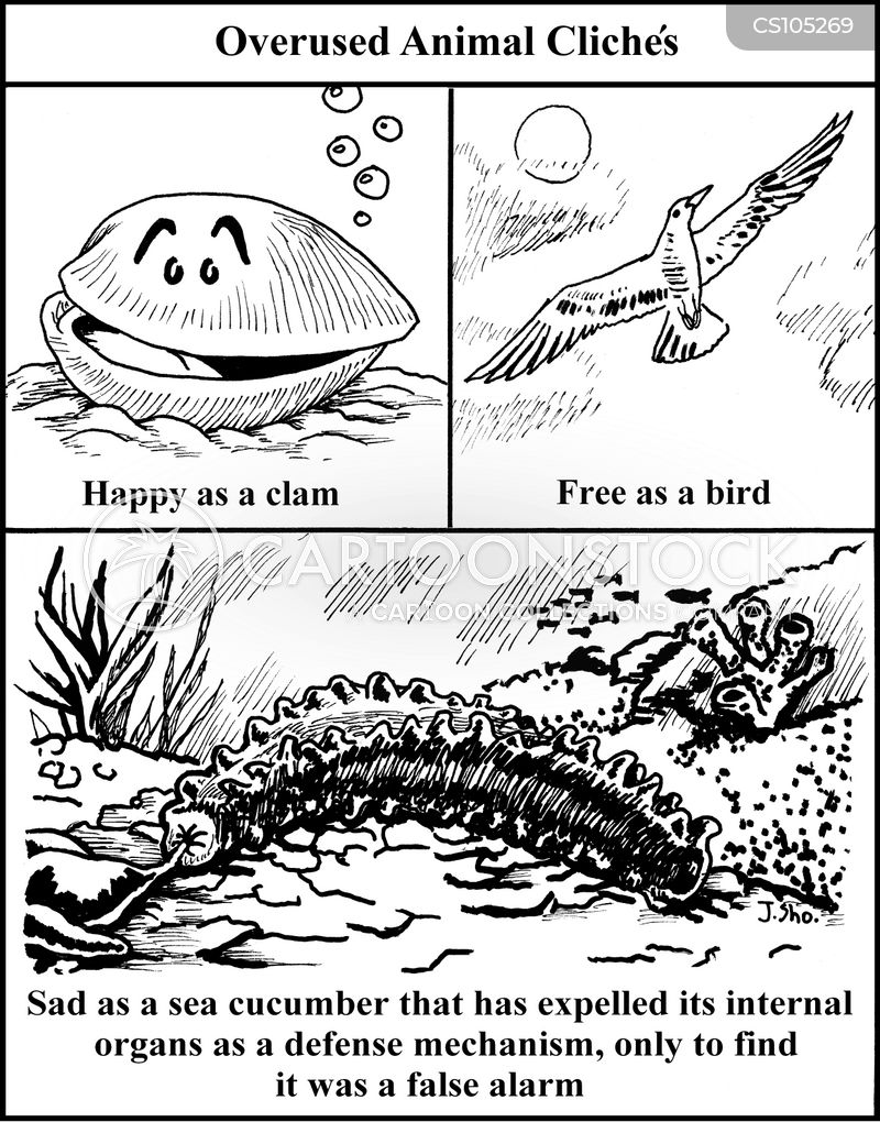 MegVeitch's tweet photo. Bright spot this week: Watching #Echinoderm peps holding up all their EchinoChildren and being "SEE MY BEAUTIFUL ECHINOS BE COMPLEX &amp; FEELING"
We, ofc, knew for years, but now it's #PublishProven thnx to this great paper on #seacucumber emotions https://t.co/30bZeL7pVA @munocean https://t.co/V8WD0LgE1f