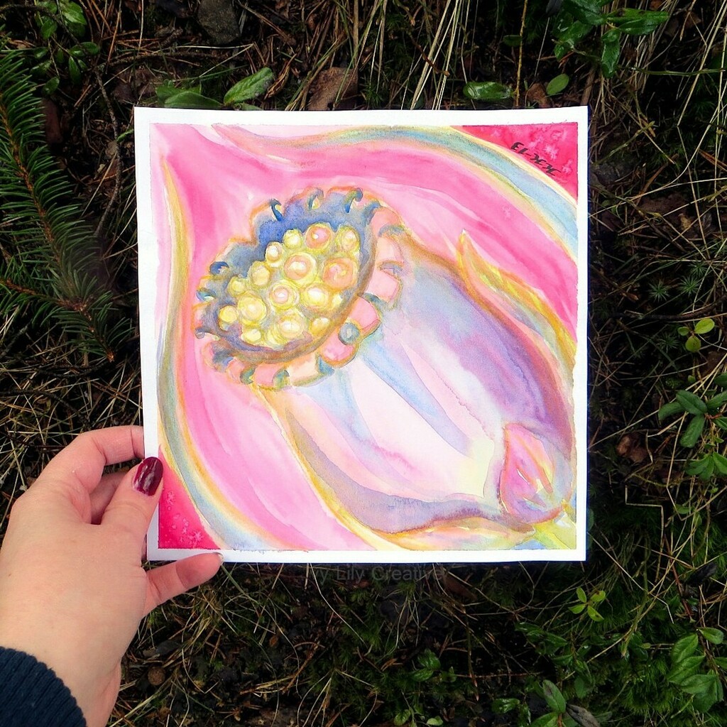 IvyLilyBlog's tweet photo. Seedpods can be surprisingly interesting to paint. This one is of a red campion pod from 2013.
🌷🌿🌺🌱
#seedpods #redcampion #seeds #watercolorabstract #expressionistart #watercolorflorals #natureart #aquarellegallery
#aquarelleart #aquarelles #akva… https://t.co/dJ7BAwveDD https://t.co/dGF3dHXXsL