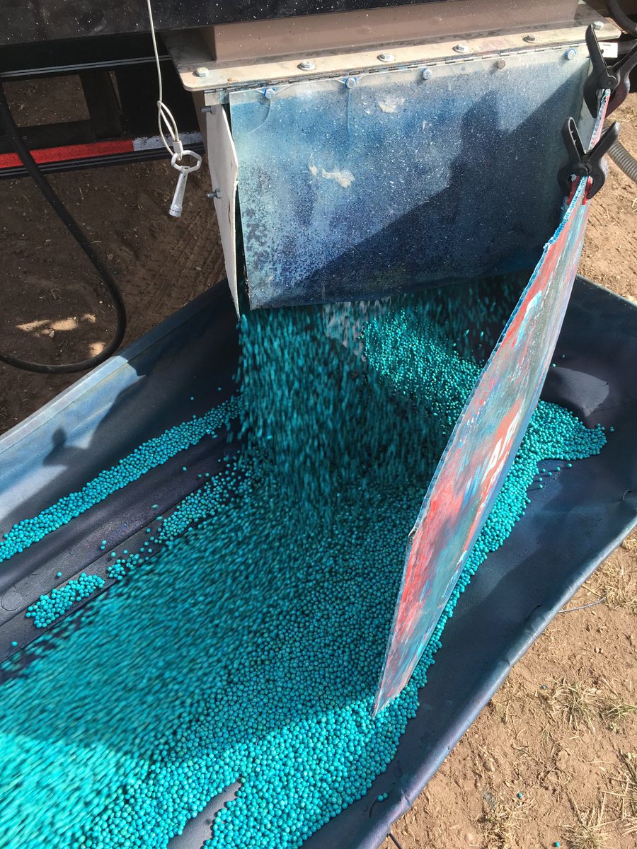 Beth Brown (@bcsbethm) on Twitter photo Wondering what to do with leftover treated seed?
🌱🪴🌿Fungicide only- can be carried over for multiple years as long as it is stored in proper storage!
🪳🪲🪰Insecticide- make sure to plant within a year of treating it to avoid efficacy loss!
<a href="/Bayer4CropsCA/">Crop Science Canada</a>
#AskSeedGrowth Wondering what to do with leftover treated seed?
🌱🪴🌿Fungicide only- can be carried over for multiple years as long as it is stored in proper storage!
🪳🪲🪰Insecticide- make sure to plant within a year of treating it to avoid efficacy loss!
<a href="/Bayer4CropsCA/">Crop Science Canada</a>
#AskSeedGrowth