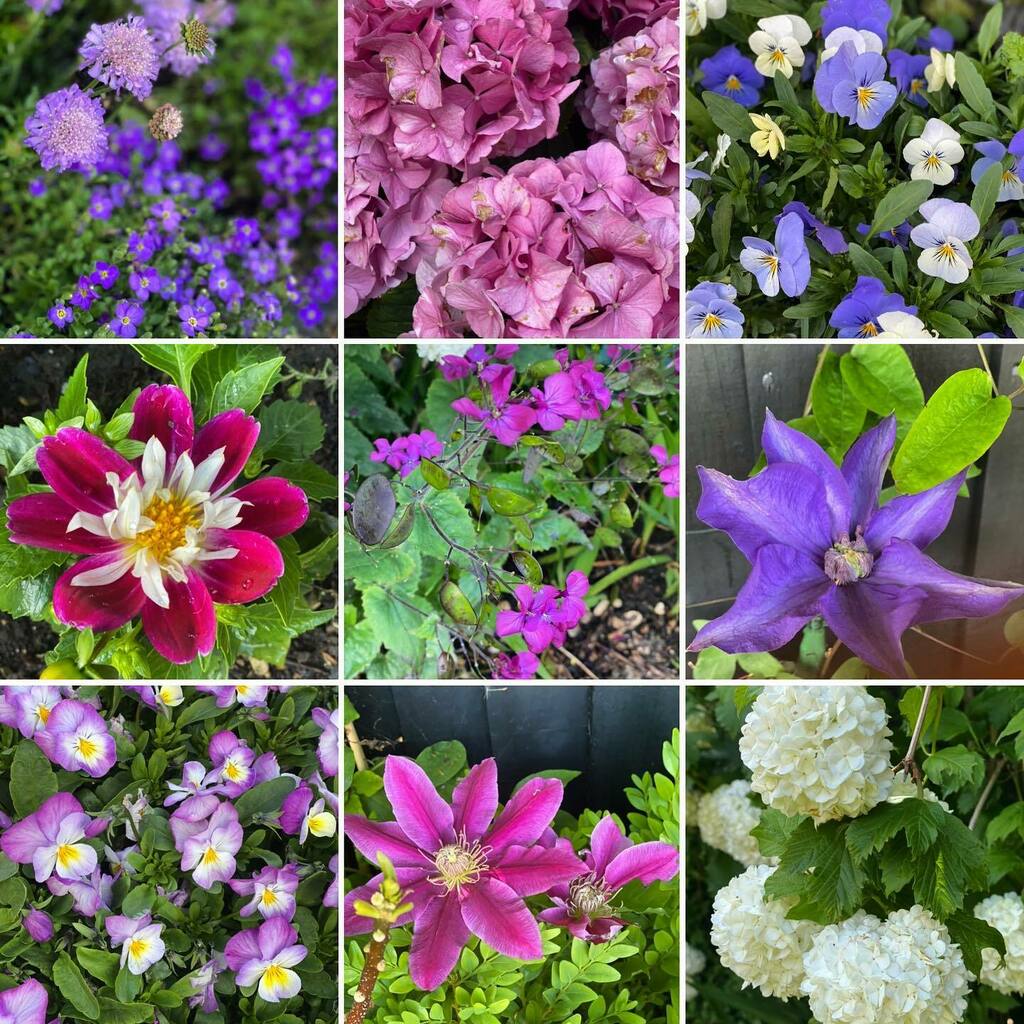 ZoePriceInt's tweet image. Summer has arrived at last instagr.am/p/CPYXHffhVWQ/