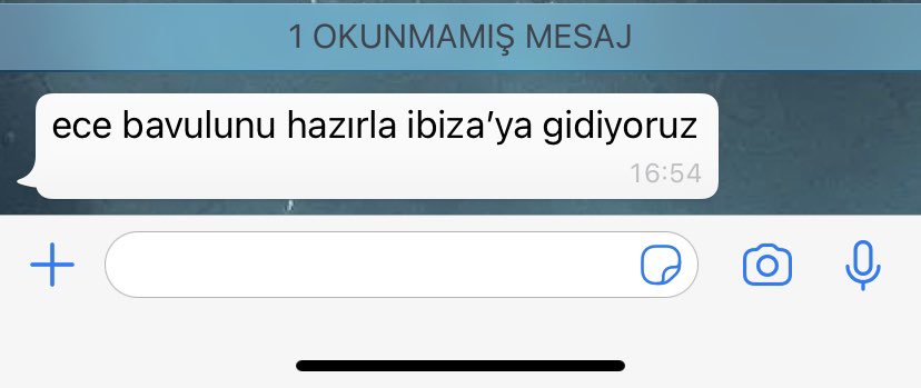 İşte beklediğim mesaj!! <a href="/simsunglow/">sim˚ ༘♡ ⋆｡˚</a>