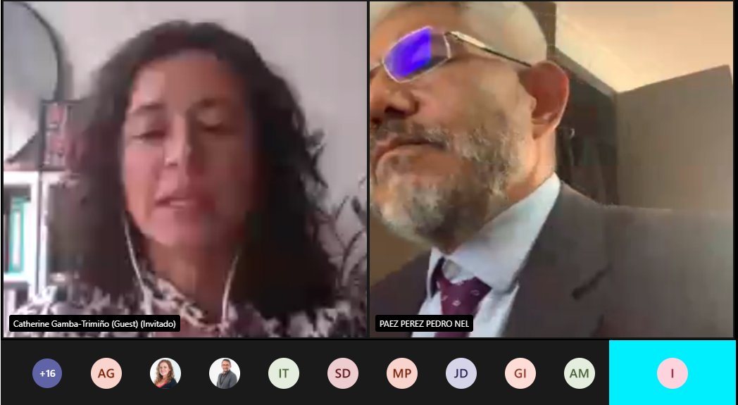 DirInves_FULL's tweet photo. Nuestra #FullInvitada Catherine Gamba, comienza su exposición en nuestro #FullWebinar.
#FullInvestigaciones #FullCICE #GRECOLALC
@francediplo https://t.co/XLcqMZeeKB