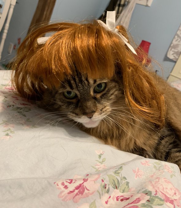 Watch ohKayBunny's leaked NSFW photo on TwXstars