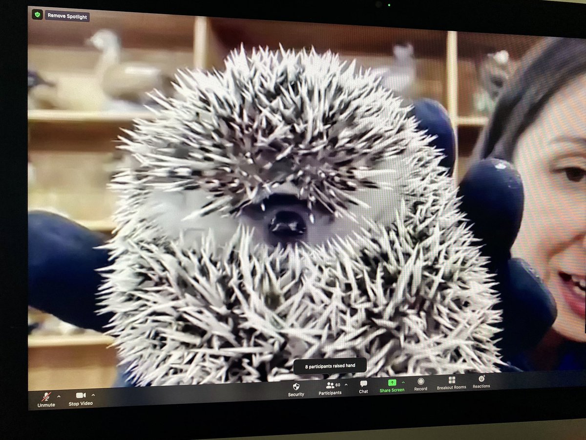 Kimberly Doyle tweet media