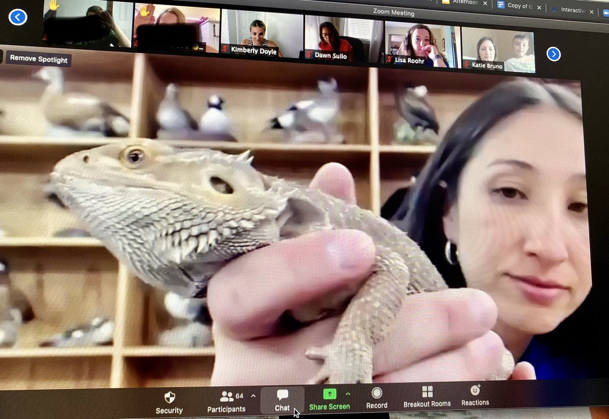 Kimberly Doyle tweet media